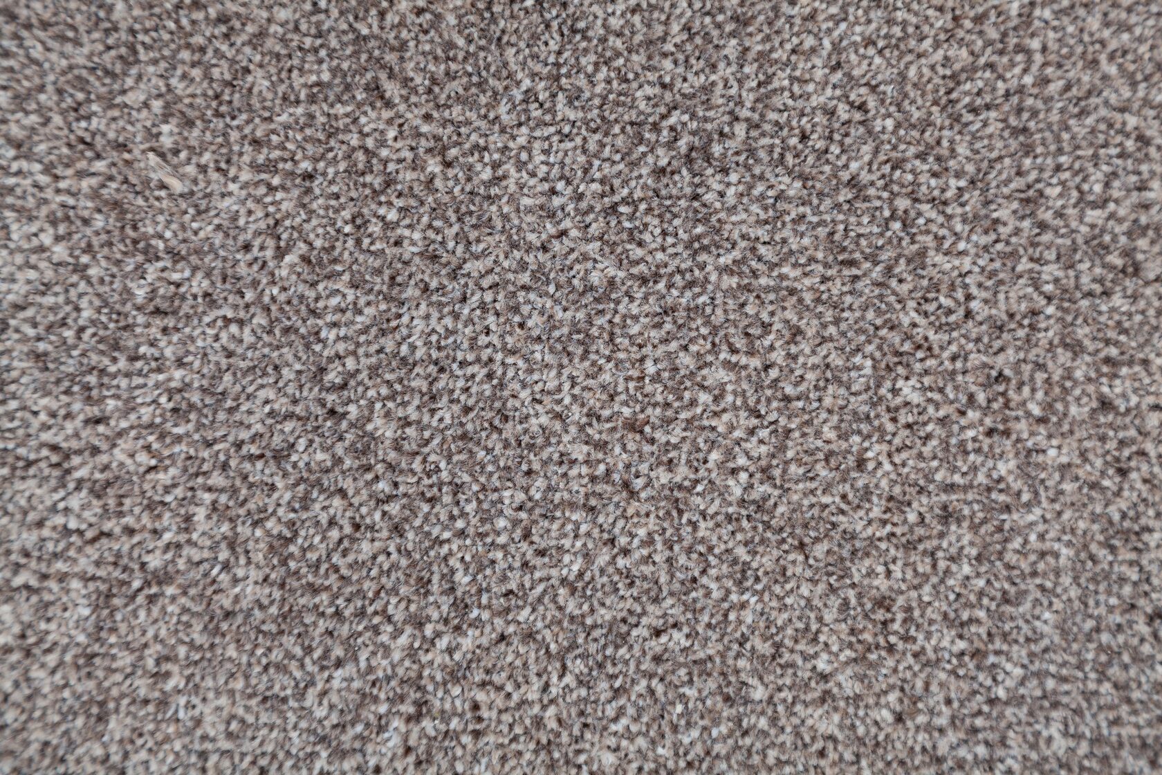 Ковровое покрытие "Bonkeel" Zodiak 39 (ширина 3м) — купить в Курске