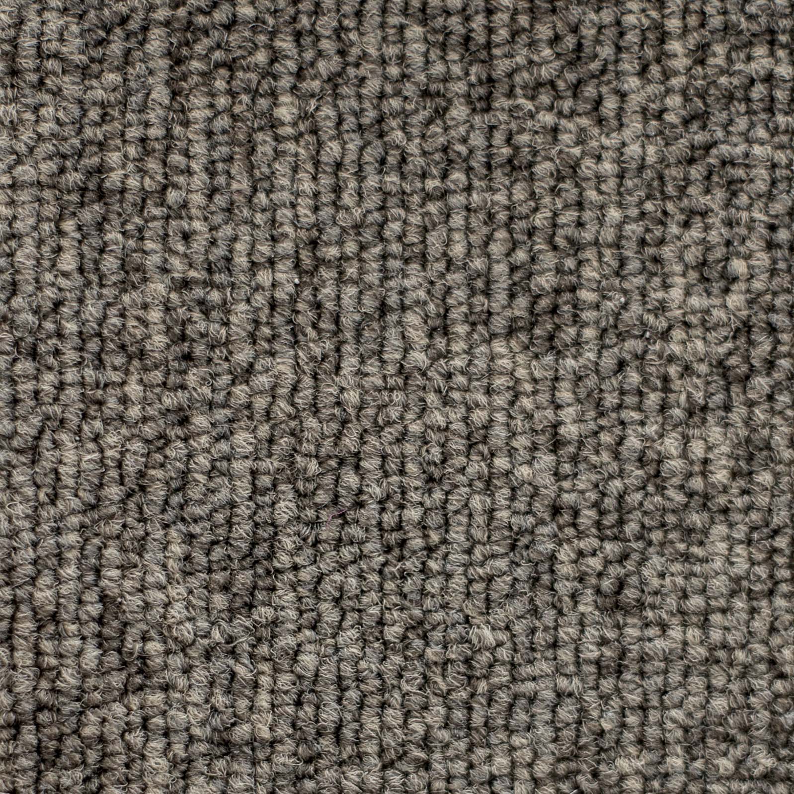 Ковролин "Зартекс" Daily 68 коричневый (4м) — купить в Курске