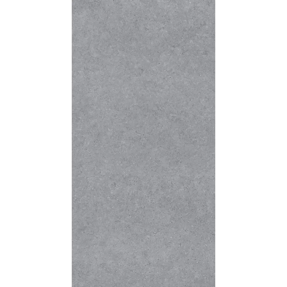 Керамогранит "Sonex" Forever Gris Matt 60x120x0.82 матовый цвет серый камень — купить в Курске