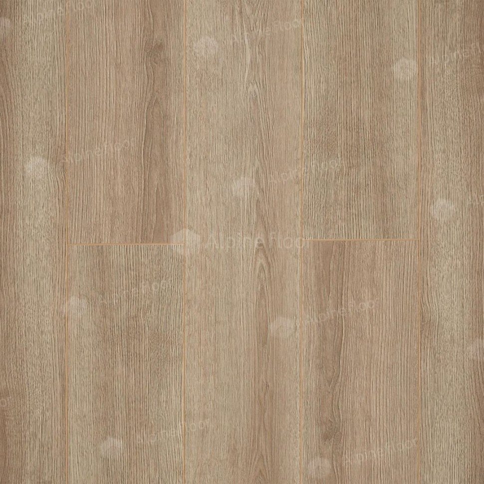 Ламинат "Camsan" Дуб Кашемир (1380*190*10 мм) — купить в Курске