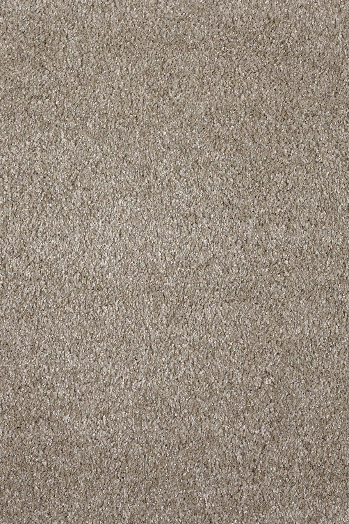 Ковровое покрытие "Bonkeel" Parana 34 (ширина 4м/5м) — купить в Курске