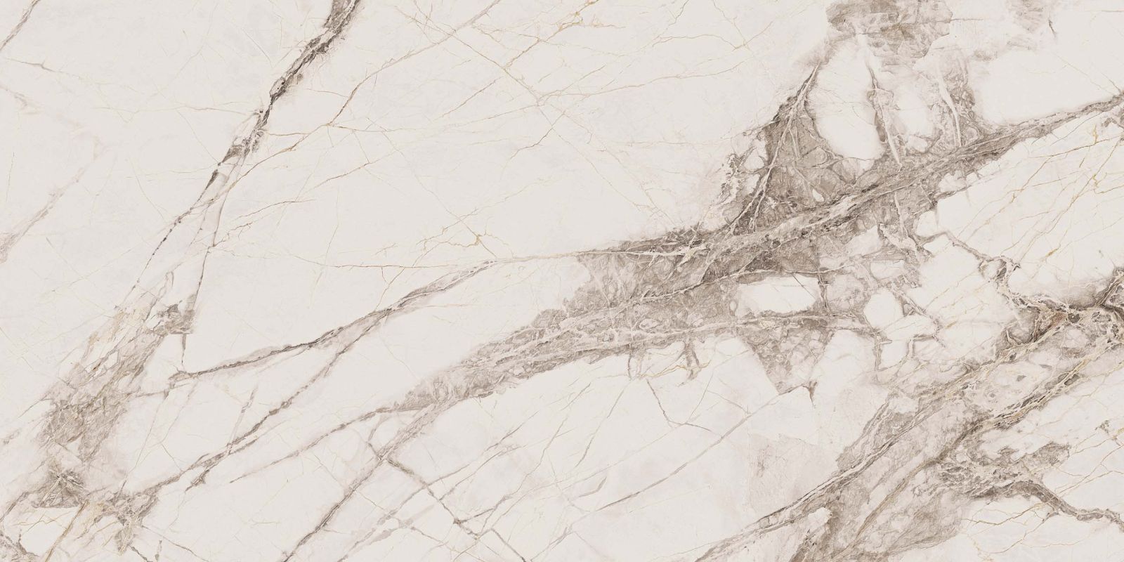 Керамогранит Exotica Marble Moon Tango 600x1200 неполированный белый EXM101 — купить в Курске